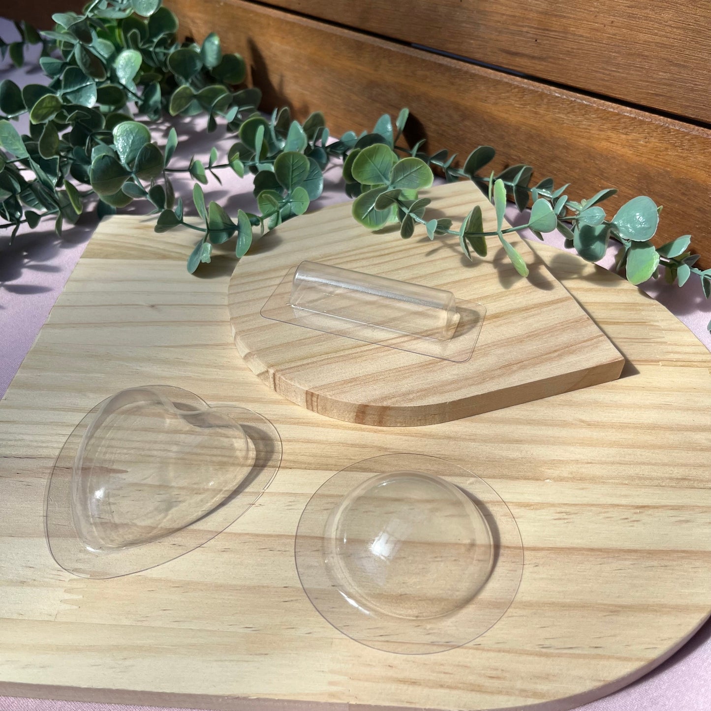 Lolly/ Money Holders • Plastic and Acrylic Set