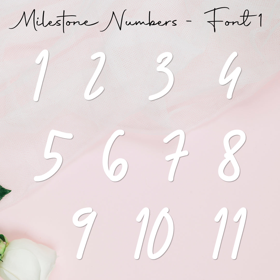 Milestone Numbers • Blank • Suit 100mm