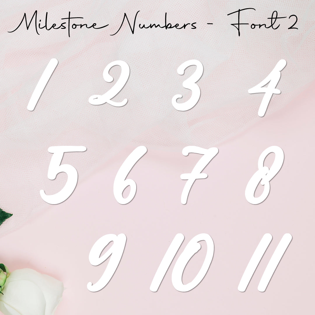Milestone Numbers • Blank • Suit 100mm
