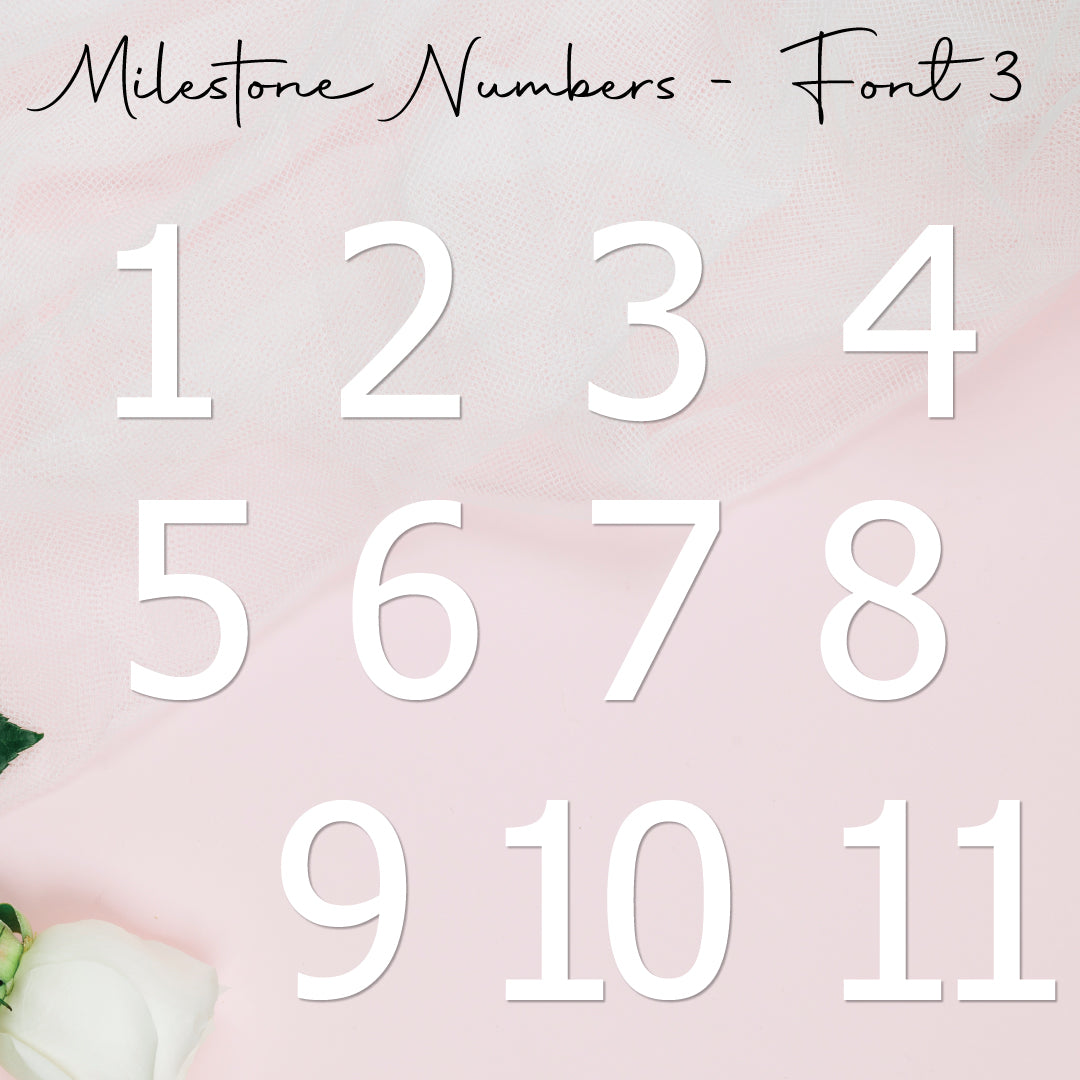 Milestone Numbers • Blank • Suit 100mm