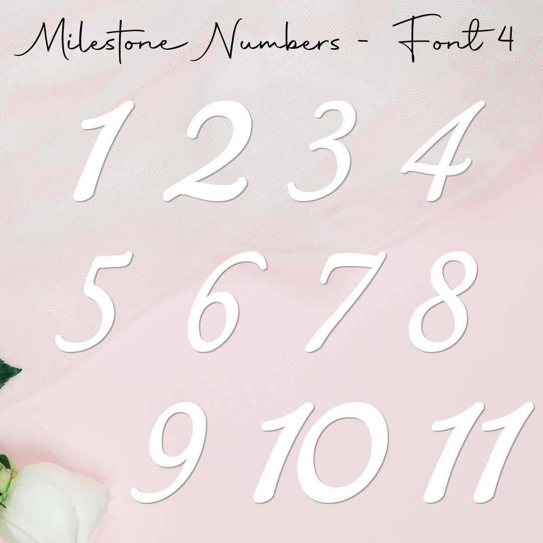 Milestone Numbers • Blank • Suit 100mm
