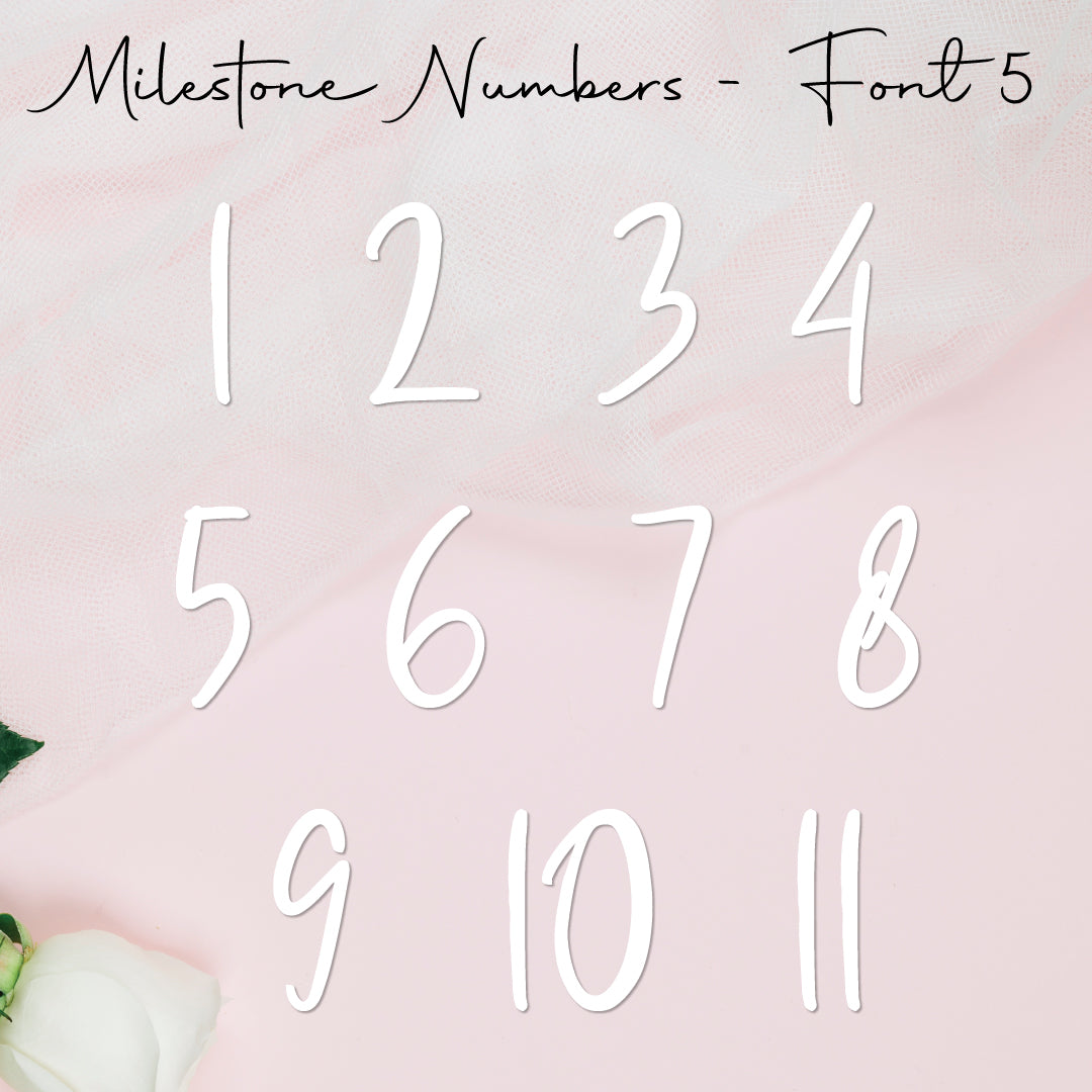 Milestone Numbers • Blank • Suit 100mm