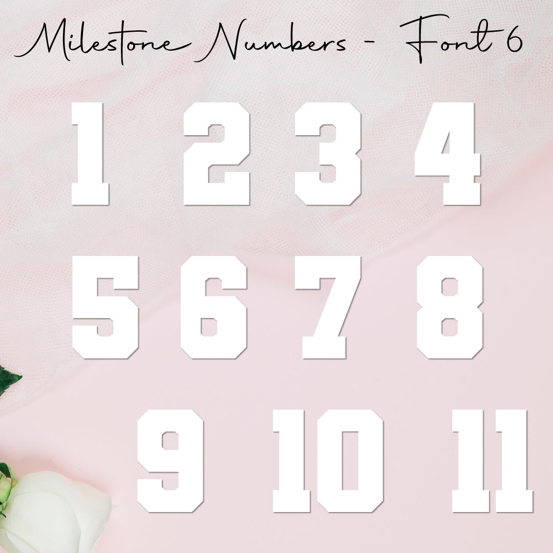 Milestone Numbers • Blank • Suit 100mm