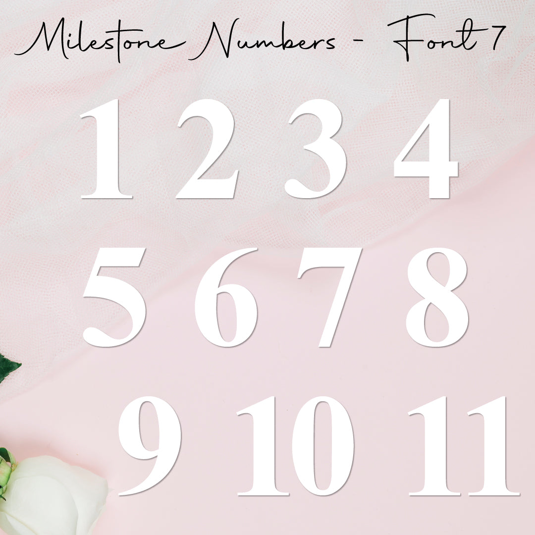 Milestone Numbers • Blank • Suit 100mm