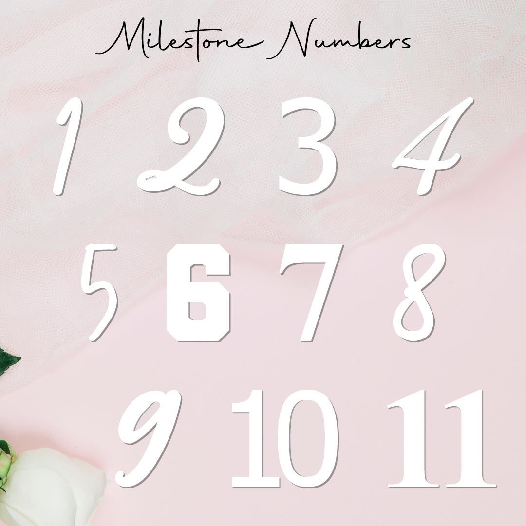 Milestone Numbers • Blank • Suit 100mm