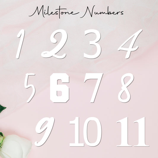 Milestone Numbers • Blank • Suit 100mm