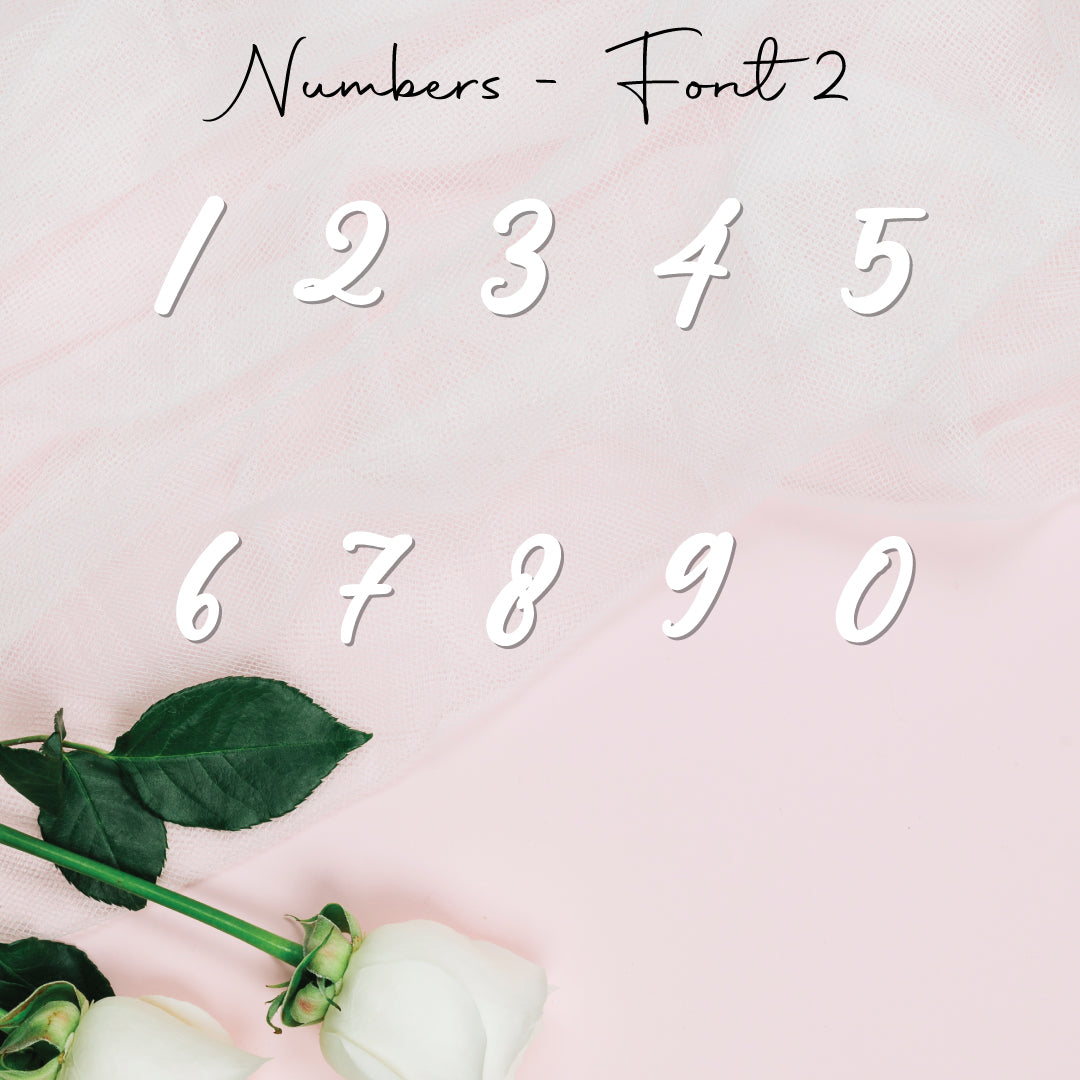 Single Numbers • Blank Shape • 50mm