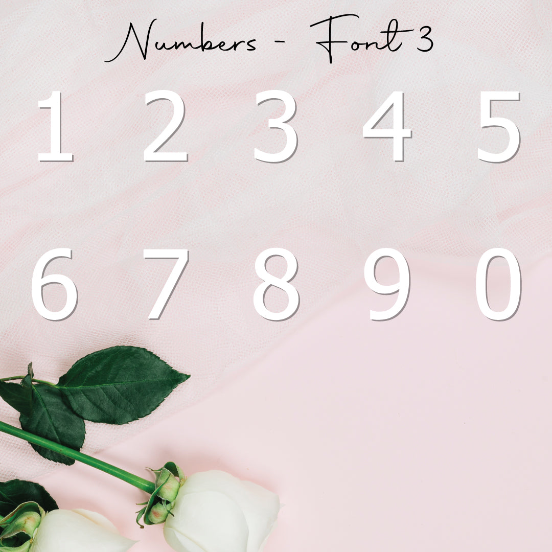 Single Numbers • Blank Shape • 50mm