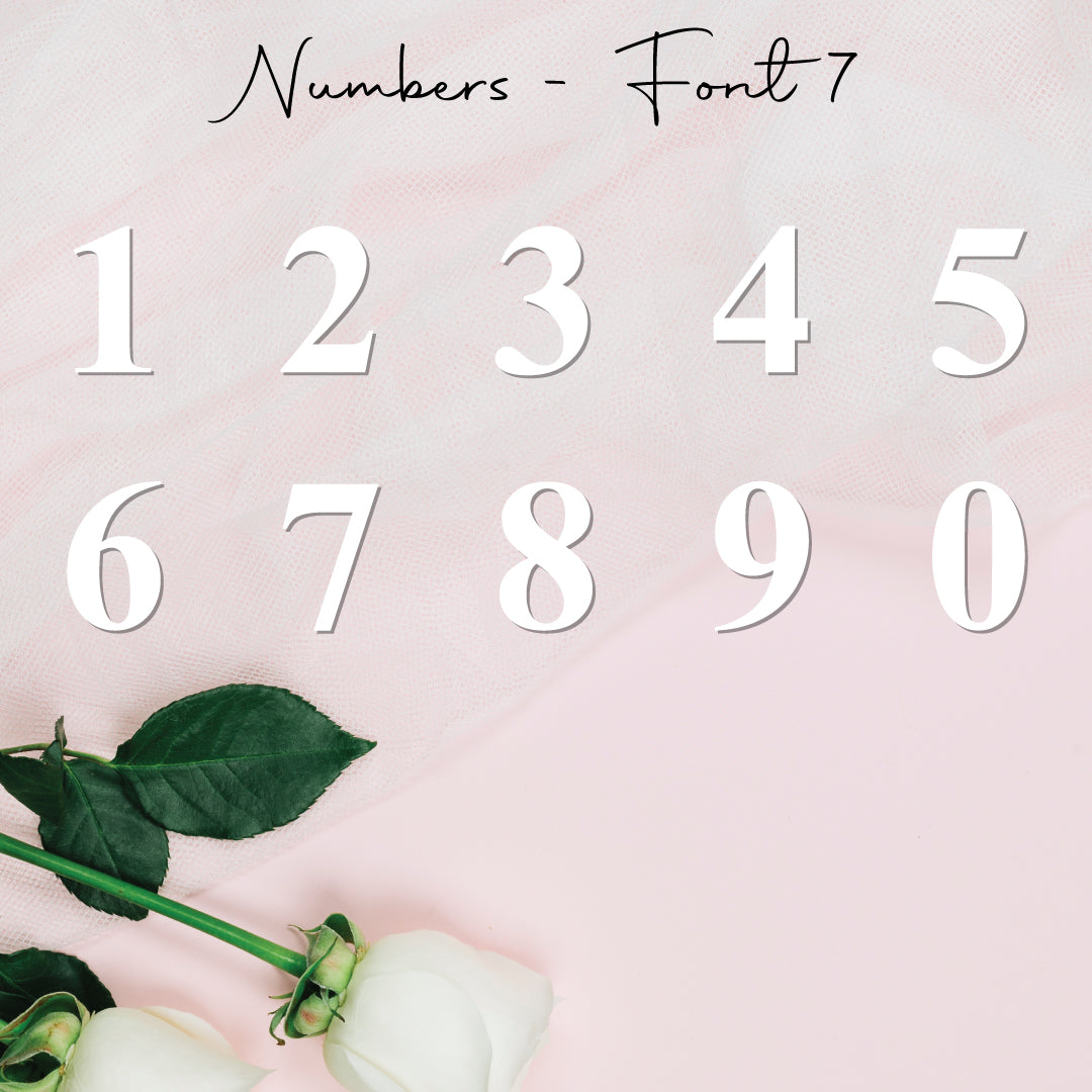 Single Numbers • Blank Shape • 50mm