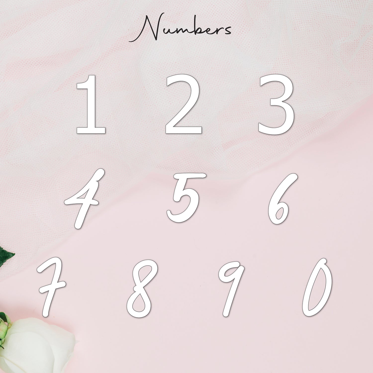 Numbers