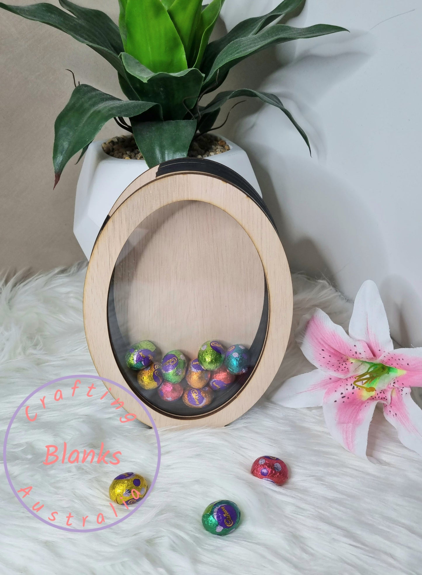 Egg/Oval shape Chocolate egg drop/Money box