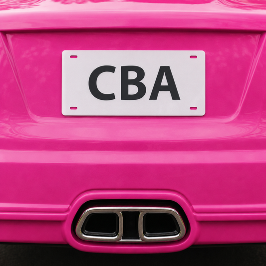 License Plate • Blank Shape • Mini