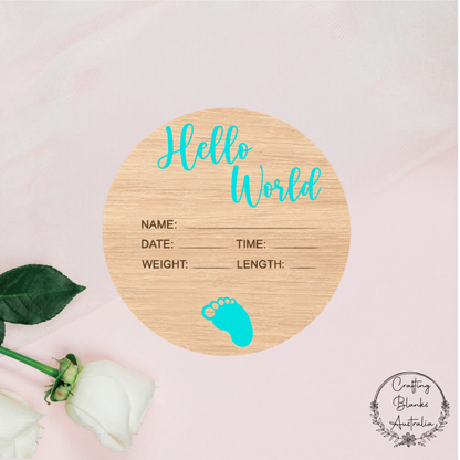 Hello World Birth Announcement Sign