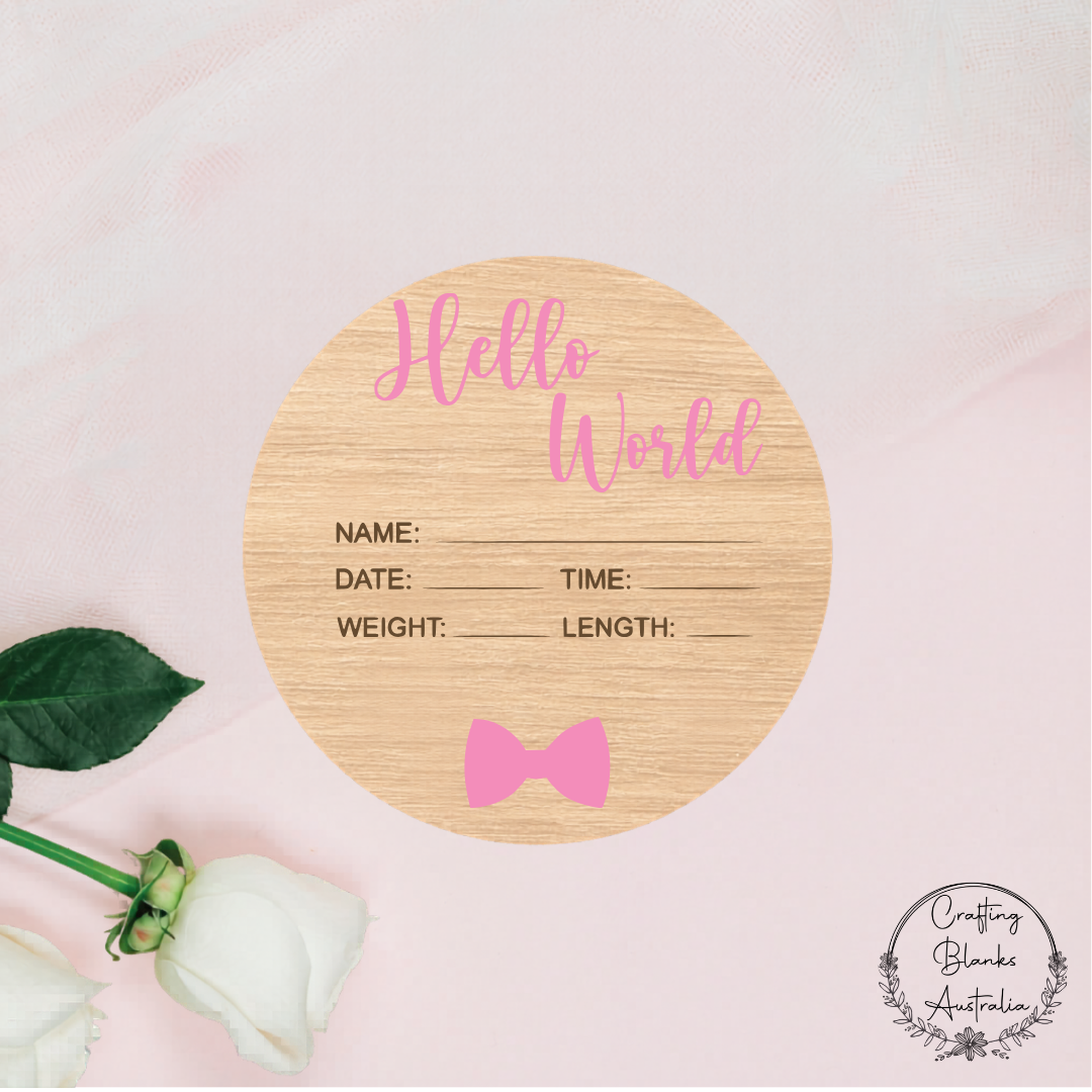 Hello World Birth Announcement Sign