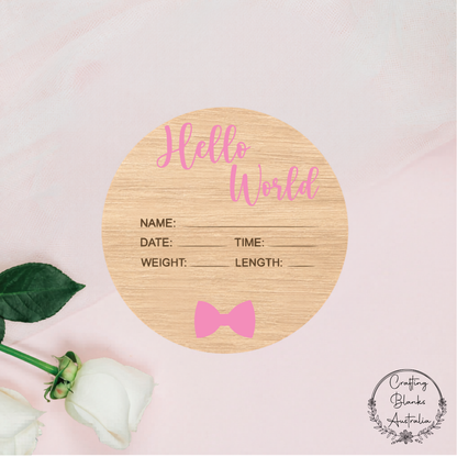 Hello World Birth Announcement Sign