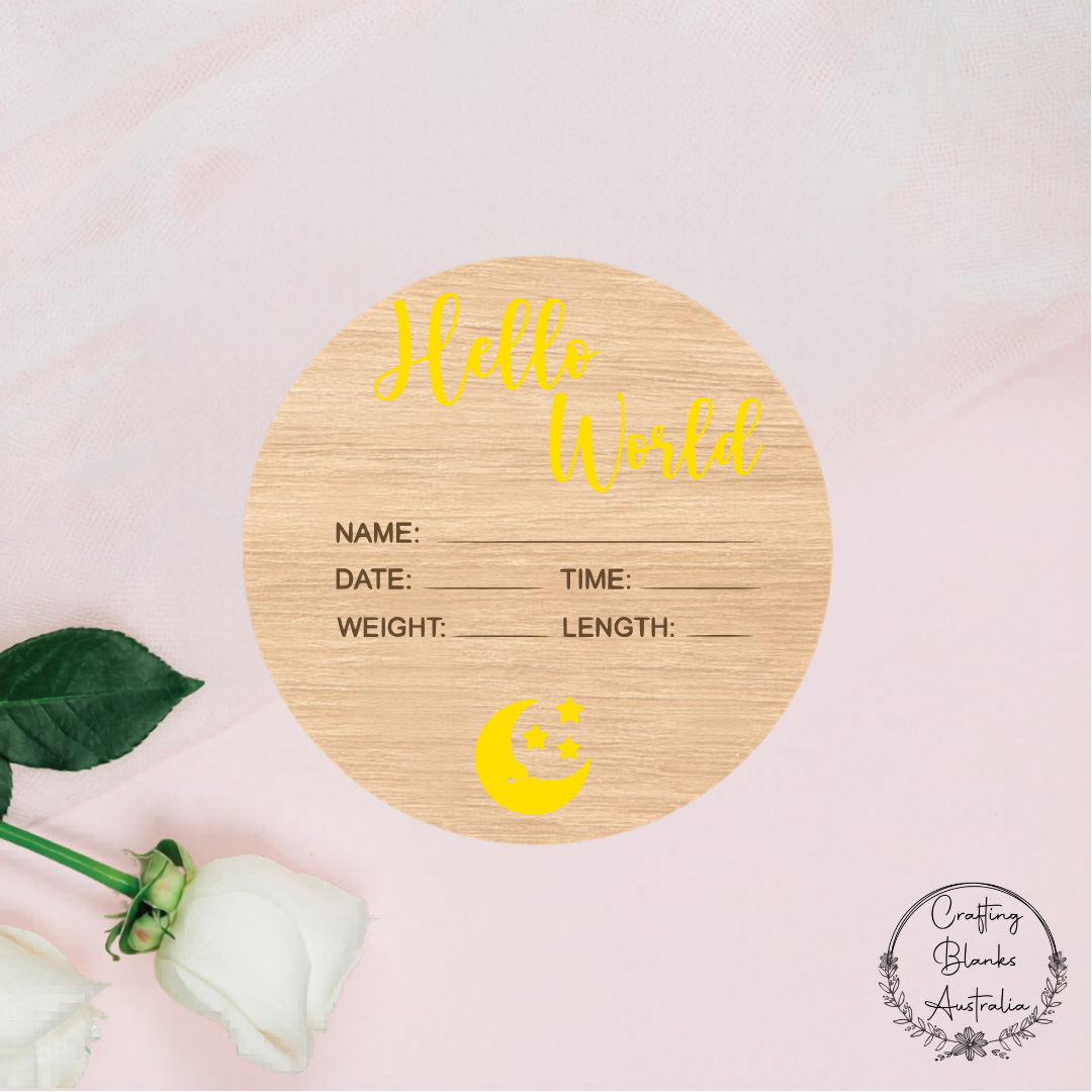 Hello World Birth Announcement Sign