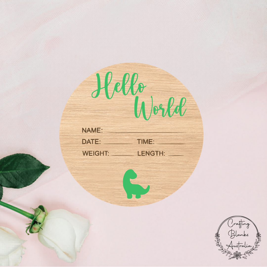 Hello World Birth Announcement Sign