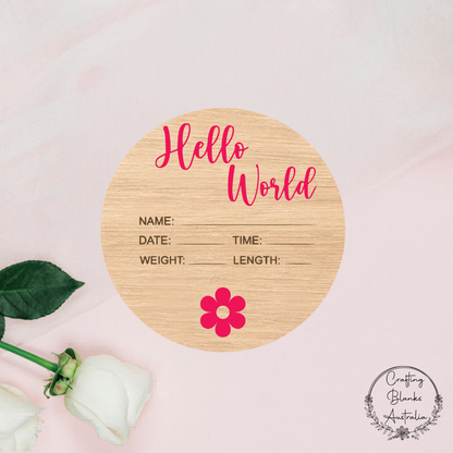 Hello World Birth Announcement Sign