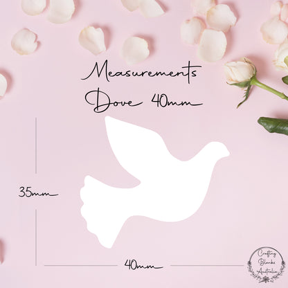 Dove • Blank Shape • 40mm