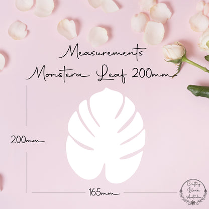 Monstera • Blank Shape • 200mm