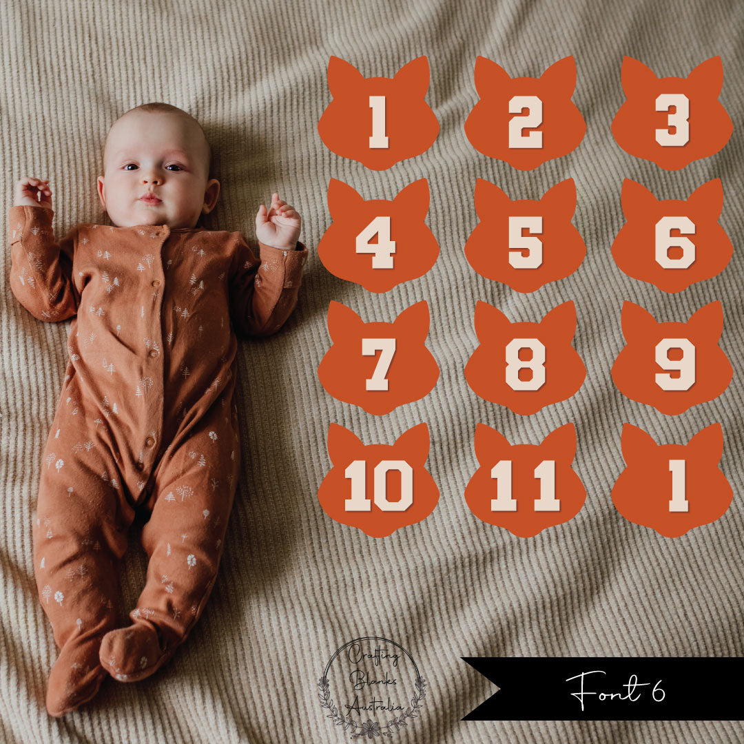 Milestone Numbers • Blank • Suit 100mm