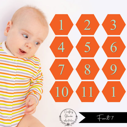 Milestone Numbers • Blank • Suit 100mm