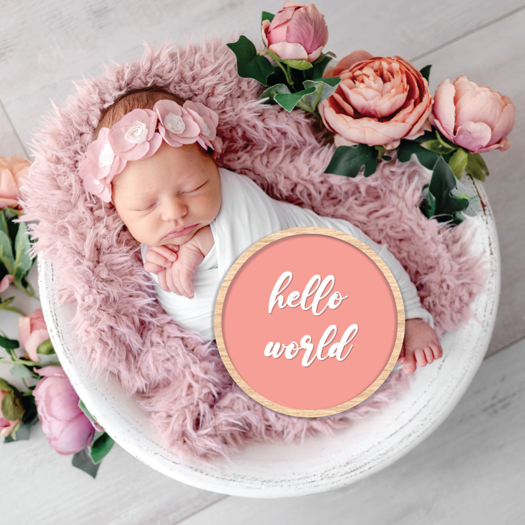 Circle • Outline Shape • 40mm