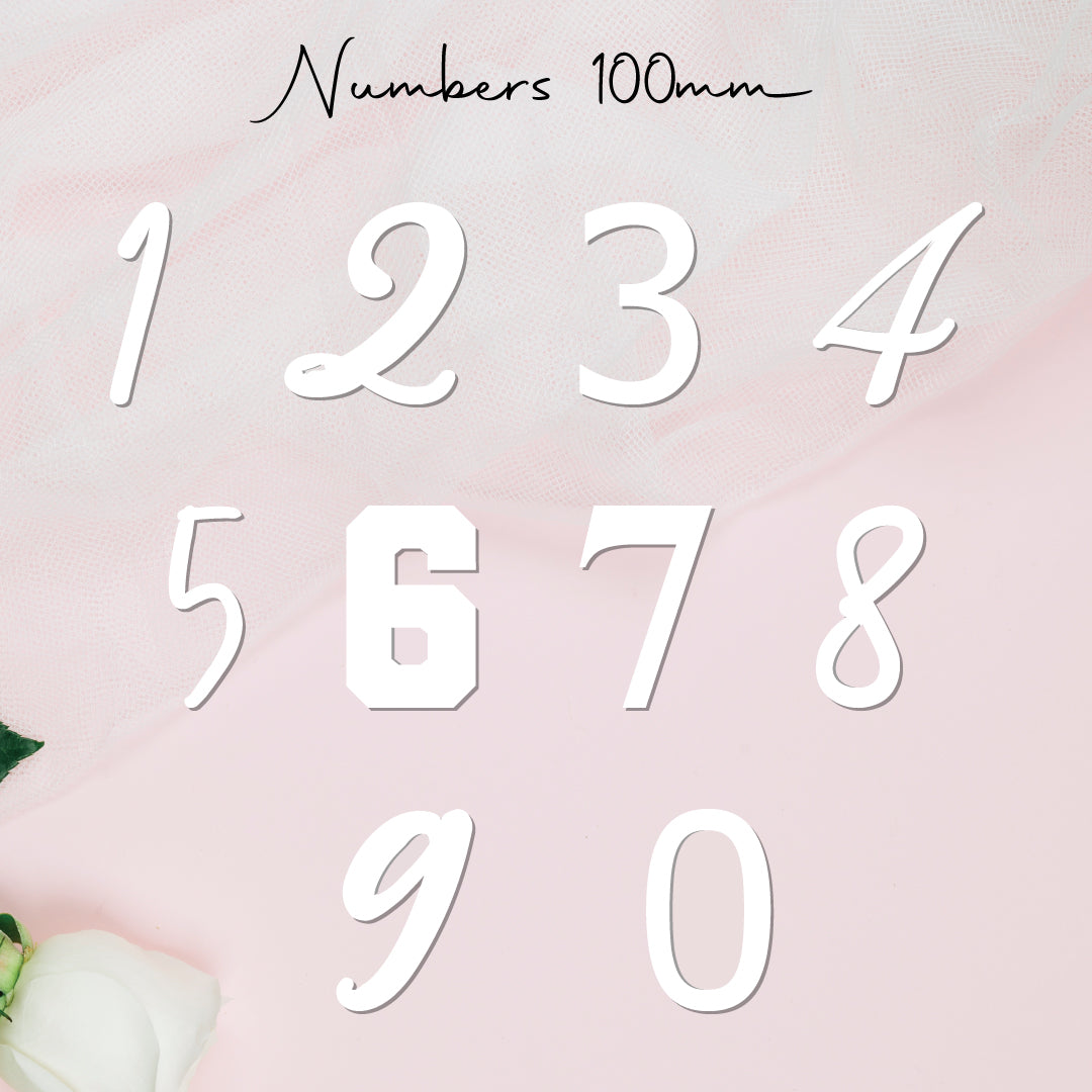 Single Numbers • Blank Shape • 100mm