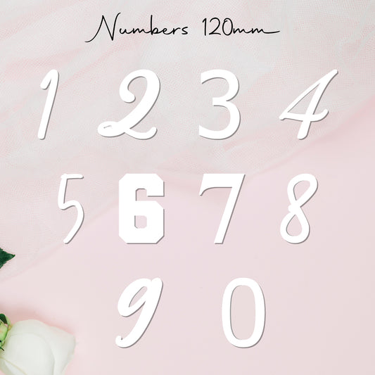 Single Numbers • Blank Shape • 120mm