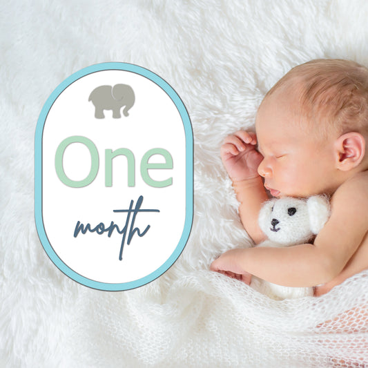 Oval • Outline Shape • A1