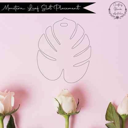 Monstera • Blank Shape • 40mm