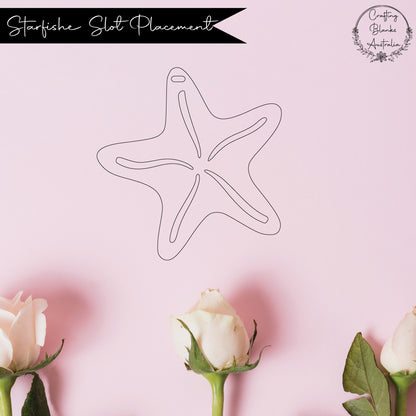 Starfish • Blank Shape • 100mm